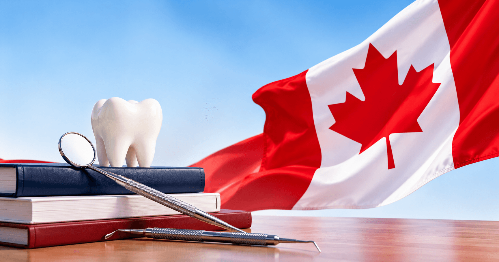 NDEB Equivalency Process for Canada: AFK, ACJ and NDECC Explained